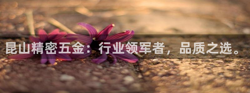 天狮娱乐来0 1311