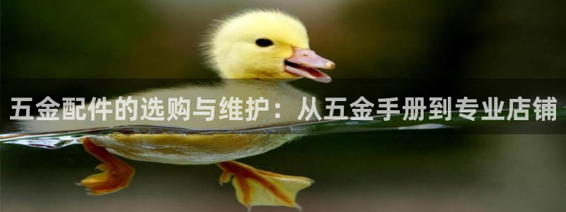 天狮娱乐平台招商