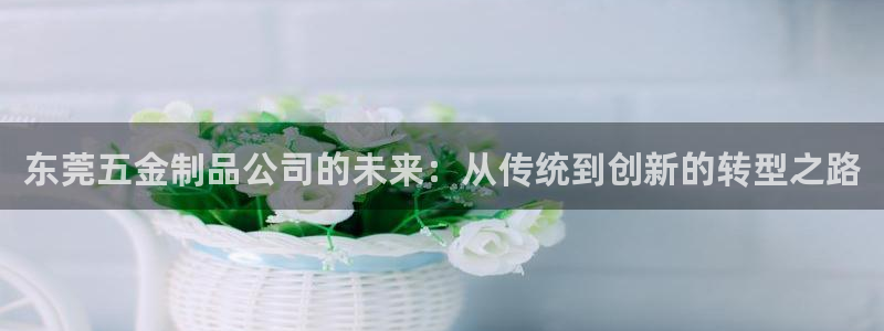 天狮娱乐彩票玩法