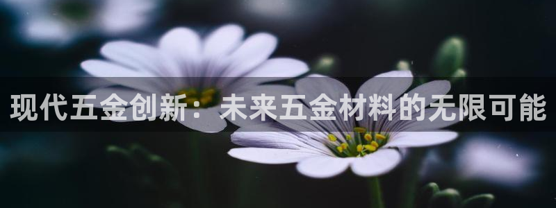 天狮娱乐用户名怎么起