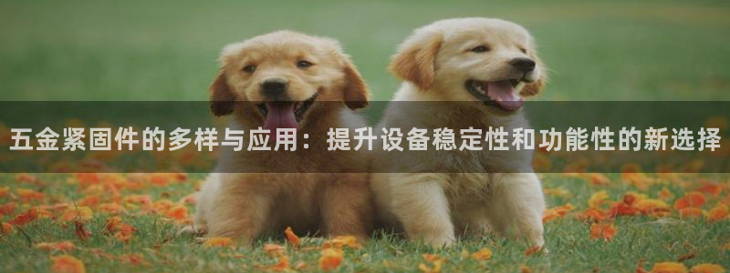 天狮娱乐购彩平台