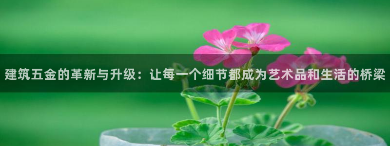 天狮娱乐用户名怎么起