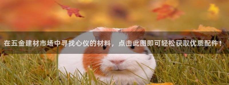 天狮娱乐行