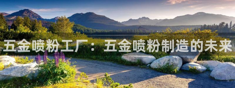 天狮娱乐湫333 00