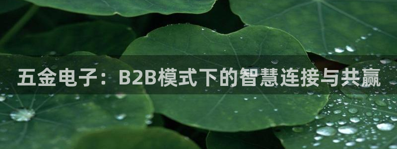 天狮娱乐是什么东西