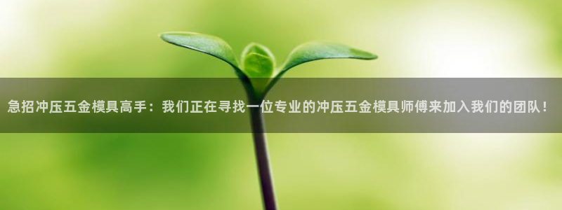 天狮娱乐能赚钱吗