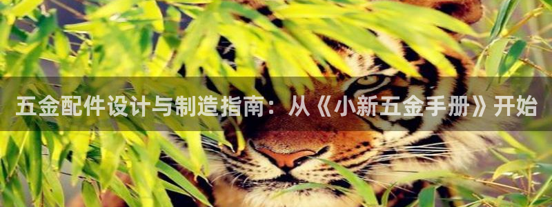 天狮娱乐i 判官