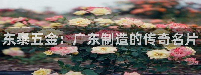 天狮娱乐彩票注册