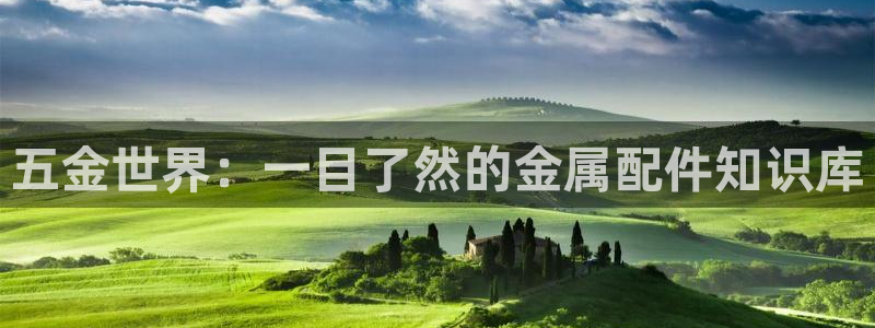 天狮娱乐走势图