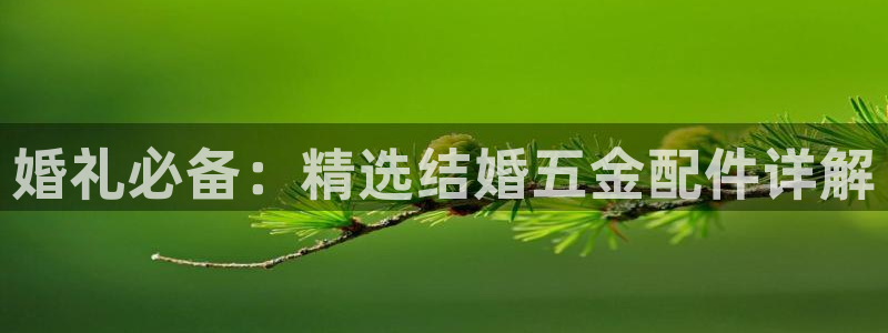 天狮娱乐b 判官
