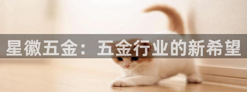 天狮娱乐扣扣29229