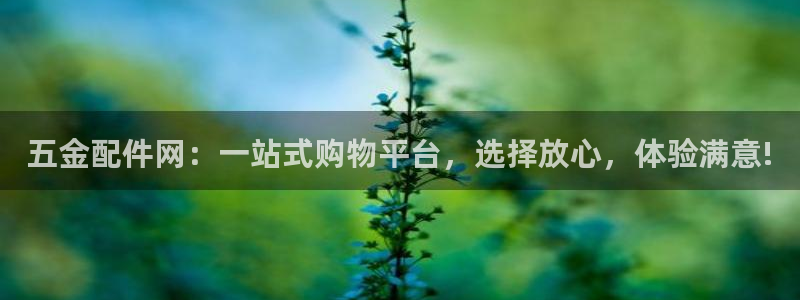 天狮娱乐q