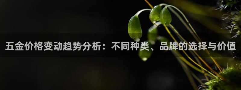 天狮娱乐是什么东西