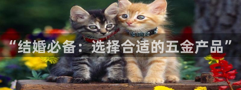 天狮娱乐行