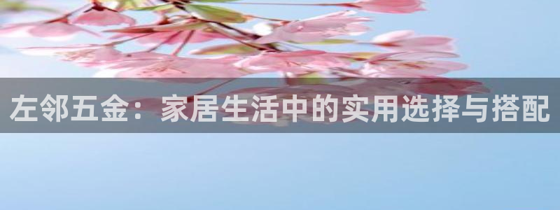 天狮娱乐股东88383