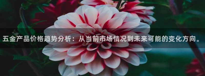 彩票天狮娱乐