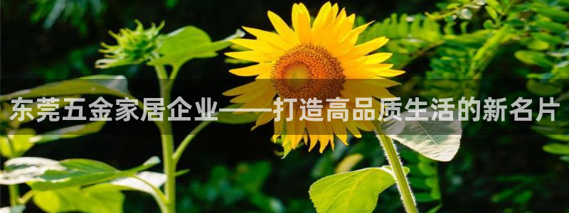 楚雄天狮国际娱乐会所