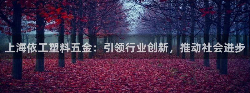 天狮娱乐最高待遇