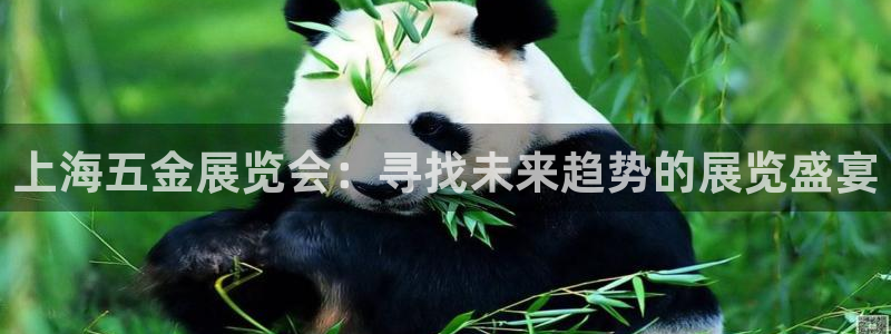 天狮娱乐总部在哪里