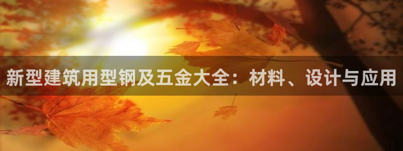 天狮娱乐湫33 300