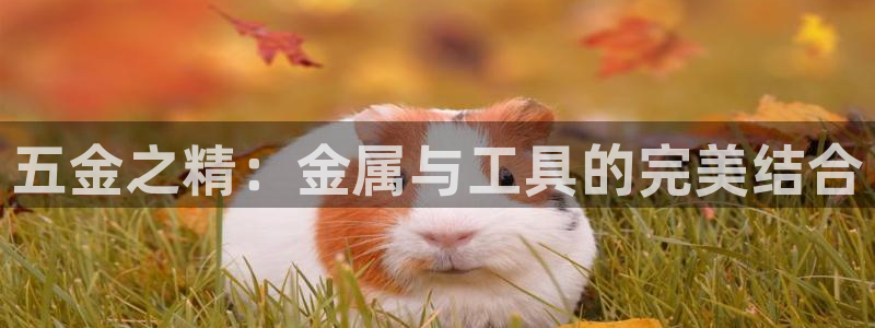 天狮娱乐然