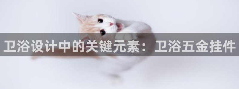 天狮娱乐多