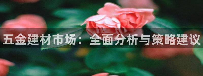 天狮娱乐提现不到账