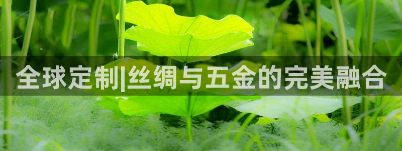 天狮娱乐 招商扣