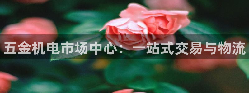 天狮娱乐 a主管60447