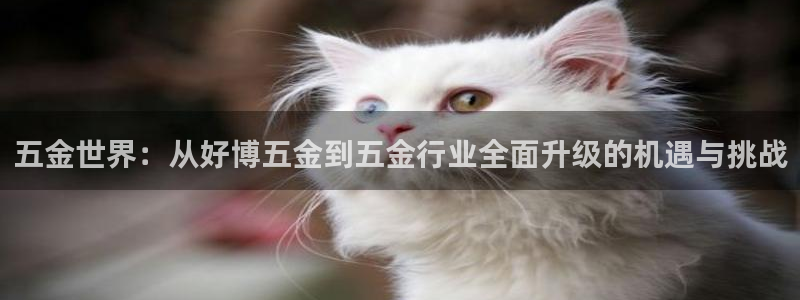 天狮娱乐 官方网站