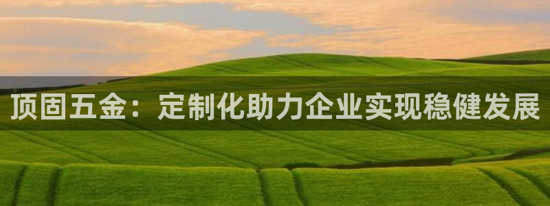 天狮娱乐股东