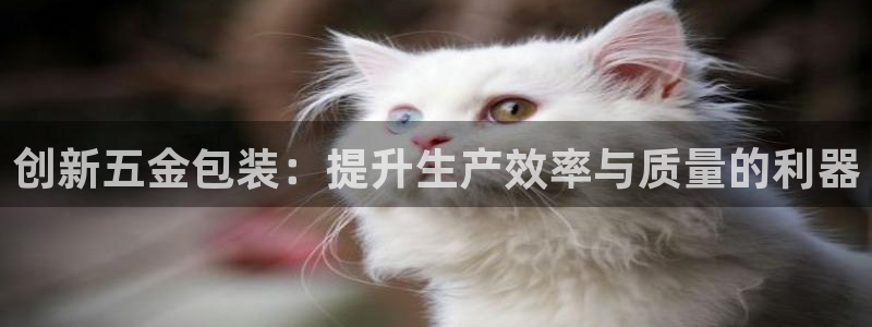 天狮娱乐湫333 00
