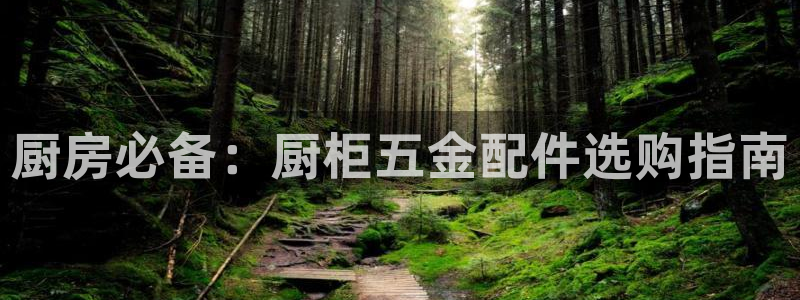 天狮娱乐b 判官是谁