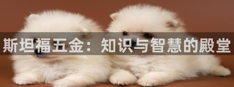 天狮娱乐平台多久