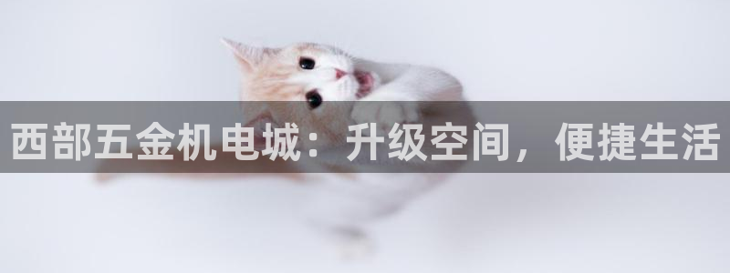 天狮娱乐鱼刺A软件