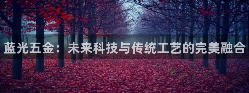 天狮娱乐c OO判官