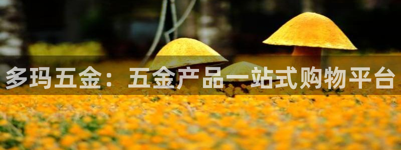 天狮娱乐d 判官