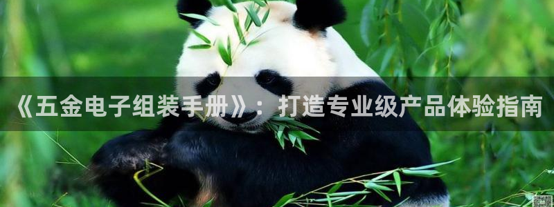 天狮娱乐负责人