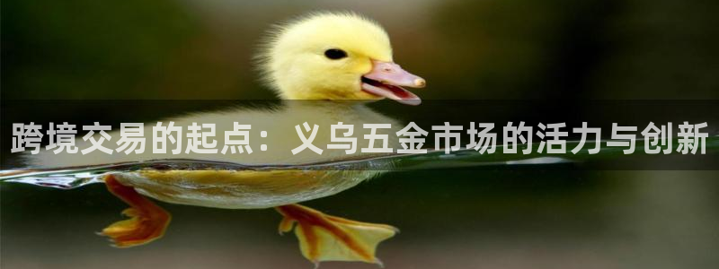 天狮娱乐b OO判官