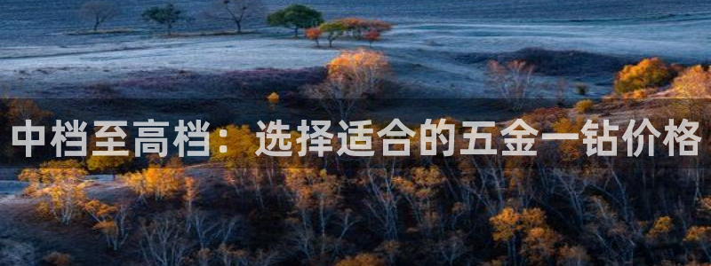 天狮娱乐-扣 股东