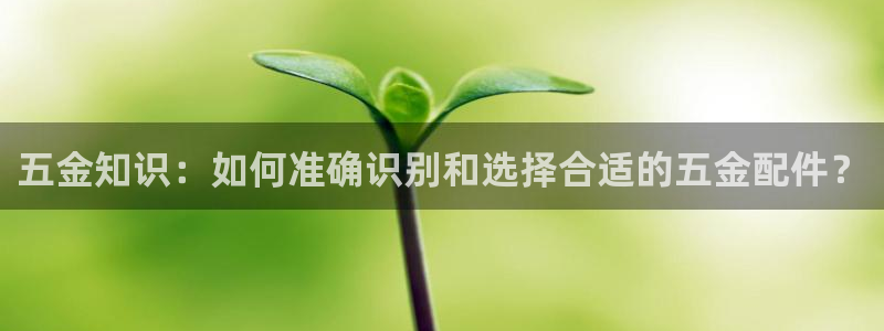 天狮娱乐主管待遇