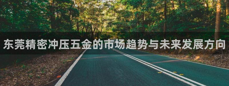 天狮娱乐j 判官