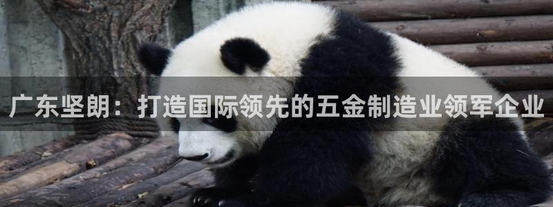 天狮娱乐01c判官333OO