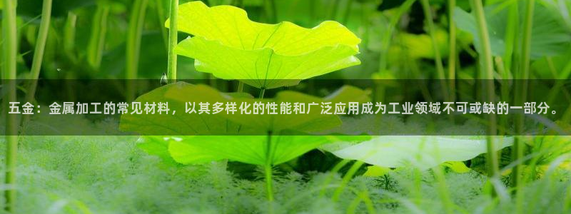 天狮娱乐最新版本