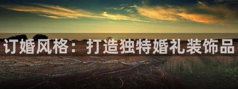 天狮娱乐i 判官