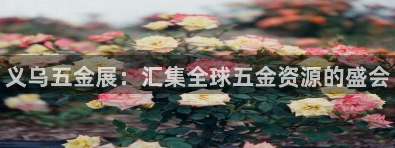 天狮娱乐手机app