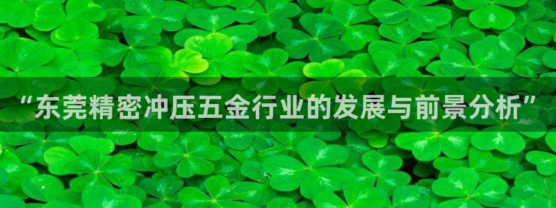 天狮娱乐股东招商