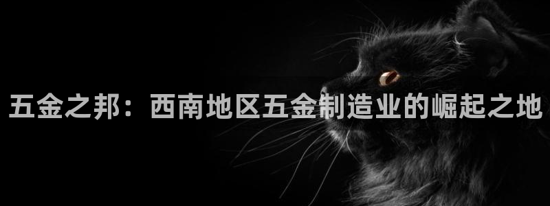 天狮娱乐 接待 0