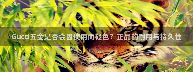 天狮娱乐股东代理