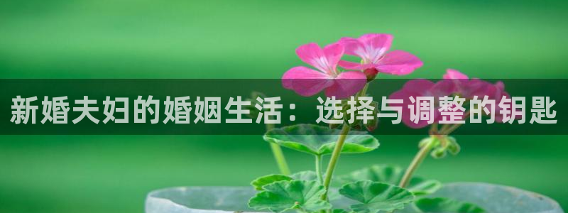 天狮娱乐縕不稳当